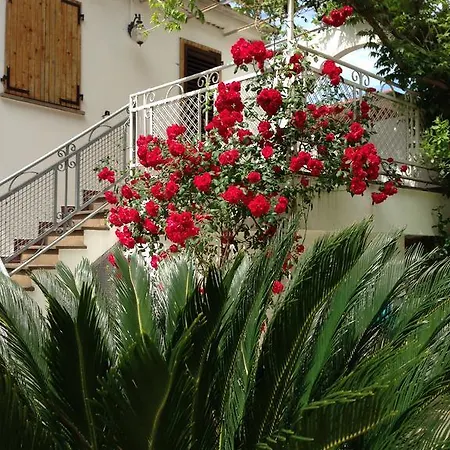 Noidue Ξενοδοχείο 2*