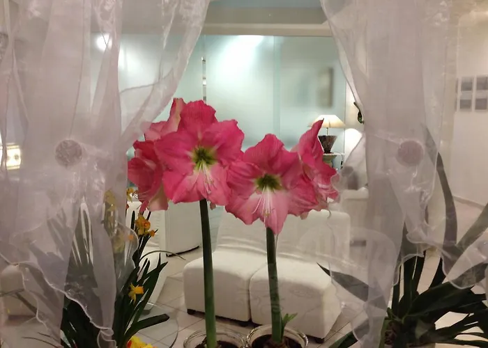 Hotel Noidue Hotel Rimini