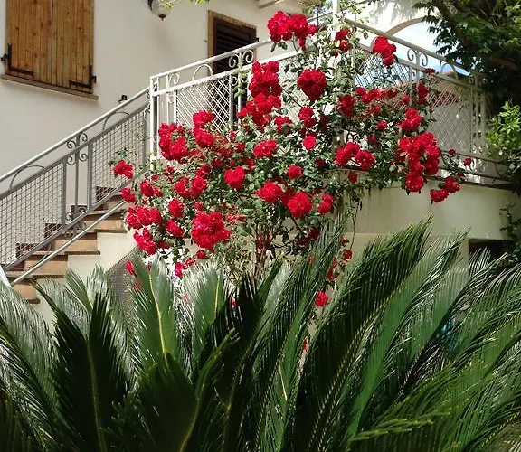 Noidue Hotel Hotel 2*