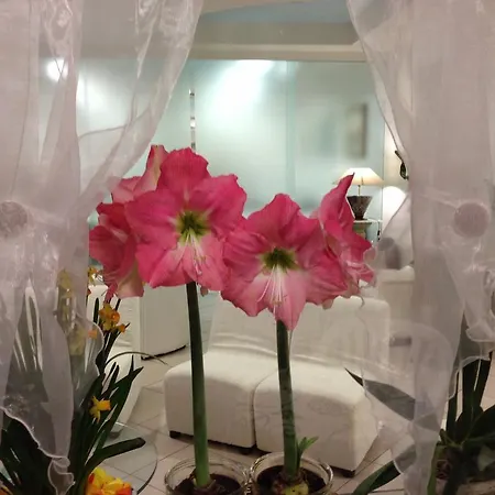 Hotel Noidue Rimini